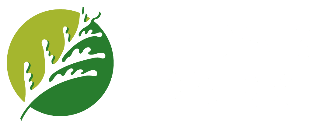 City of Cedar Park